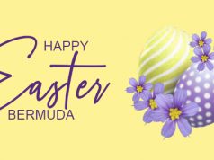 Bermudiana Flower & Easter Egg Facebook, Twitter & Phone Screen