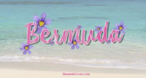 Bermuda Pink Bermudiana Beach Facebook, Twitter & Phone Screen