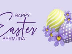 Bermudiana Flower & Easter Egg Facebook, Twitter & Phone Screen