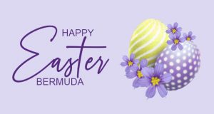 Bermudiana Flower & Easter Egg Facebook, Twitter & Phone Screen