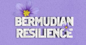 Bermudian Resilience & Bermudiana Facebook, Twitter & Phone Screen