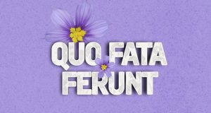 Quo Fata Ferunt Bermudiana Flower Facebook, Twitter & Phone Screen