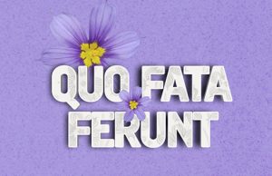 Quo Fata Ferunt Bermudiana Flower Facebook, Twitter & Phone Screen