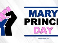‘Mary Prince Day’ Pink & Blue Facebook Cover & Phone Screen
