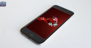 Bermuda Longtail Flag Wing Phone Wallpaper