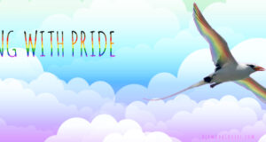 Longtail Flying With Pride Facebook Cover & Phone Wallpaper #3