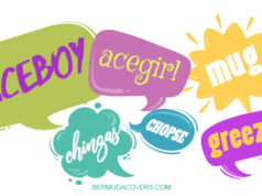Bermuda Words Speech Bubble Facebook Cover & Phone Wallpaper #1