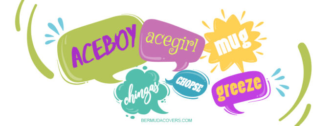 Bermuda words speech bubble designs from Oxford English Dictionary Bernews Facebook profile page cover (1)