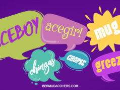 Bermuda Words Speech Bubble Facebook Cover & Phone Wallpaper