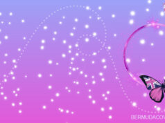 Pink Bermuda Butterfly Flag Facebook Cover & Phone Wallpaper