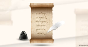 Scroll Bermuda Words In Oxford Dictionary Facebook, Twitter & Phone Screen