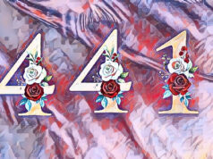 441 Rose Painting Facebook Cover & Phone Wallpaper