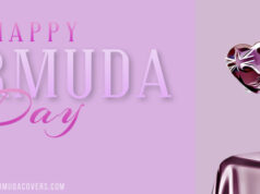 Crystal Bear Heart Happy Bermuda Day Facebook Cover & Phone Wallpaper