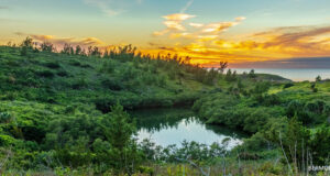 Lover’s Lake Nature Reserve Facebook Cover & Phone Wallpaper