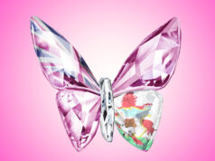 Pink Bermuda Flag Glass Butterfly Facebook Cover & Phone Wallpaper