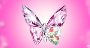 Pink Bermuda Flag Glass Butterfly Facebook Cover & Phone Wallpaper