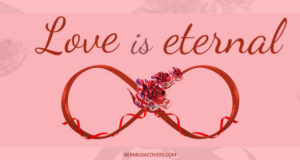 Red & Pink Bermuda Rose Love Is Eternal Facebook Cover & Phone Wallpaper