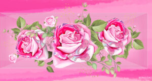 Roses With Bermuda Flag Drawing Facebook Cover & Phone Wallpaper #2