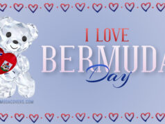 I Love Bermuda Day Crystal Bear Heart Facebook Cover & Phone Wallpaper