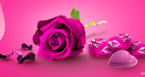 Pink Rose & Bermuda Heart-Shaped Chocolates Facebook Cover & Phone Wallpaper