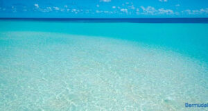 Serene Clear Bermuda Waters Facebook Cover & Phone Wallpaper