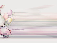 Easter Bunny On A Scooter Facebook Cover & Phone Wallpaper