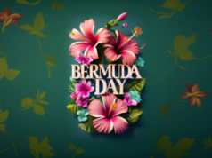 Bermuda Day Flowers Facebook Cover & Phone Wallpaper