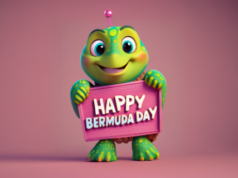 Happy Bermuda Day Turtle Facebook Cover & Phone Wallpaper