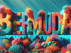 Bermuda BDA Coral Reef Facebook Cover & Phone Wallpaper #1