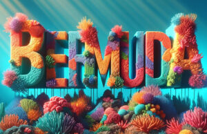 Bermuda BDA Coral Reef Facebook Cover & Phone Wallpaper #1