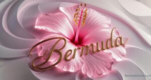 Bermuda Hibiscus Swirl Facebook Cover & Phone Wallpaper