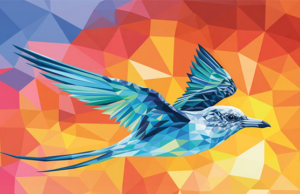 Abstract Bermuda Longtail Facebook Cover & Phone Wallpaper