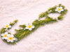 Bermuda Island Frangipani & Palm Silhouette Facebook Cover & Phone Wallpaper
