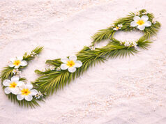 Bermuda Island Frangipani & Palm Silhouette Facebook Cover & Phone Wallpaper