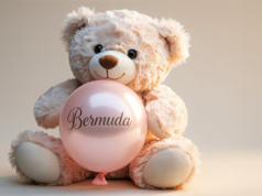 Photograph Of An Adorable White Fluffy Teddy Bear Facebook Cover & Phone Wallpaper