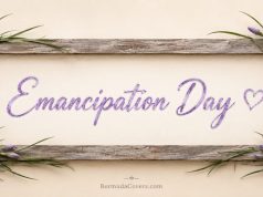 Emancipation Day Flowers Facebook Cover & Phone Wallpaper