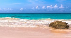 Tranquil Beach View Facebook Cover & Phone Wallpaper