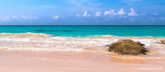 Tranquil-Beach-View-BC-77663-Landscape-Bermuda
